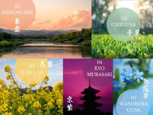 Load image into Gallery viewer, SASHIKO THREAD, Japan colors / 10 colors inspired by Japanese nature and culture. Perfect gift manufactured and dyed in Kyoto, Japan. - SASHIKO.LAB